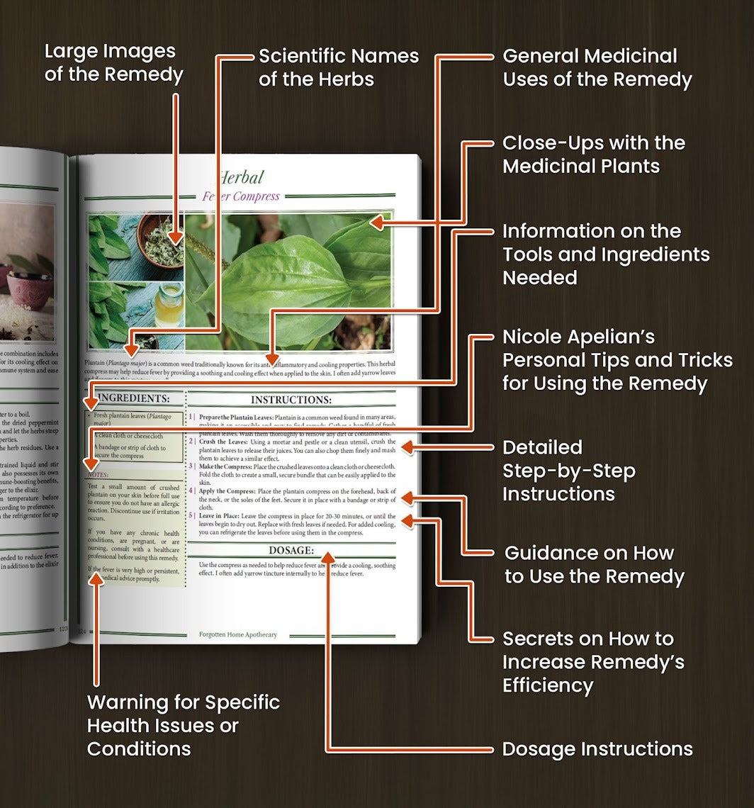 250 Powerful Remedies at Your Fingertips